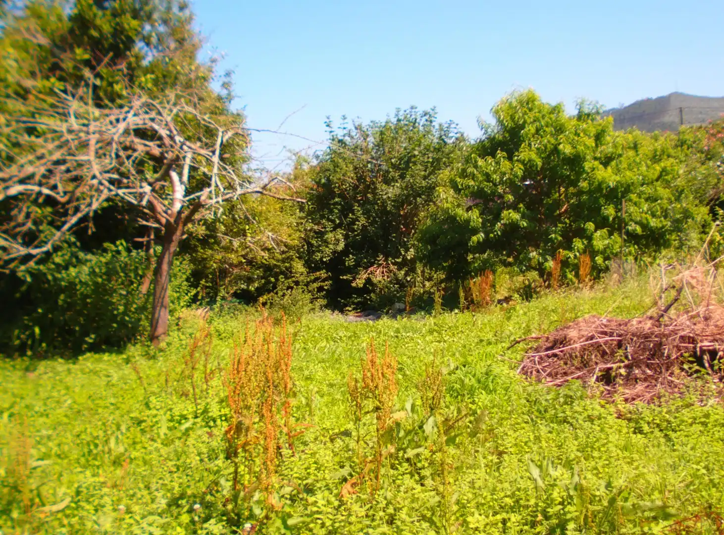 Country house zum Verkauf in Puente Viesgo mit Privatgarten