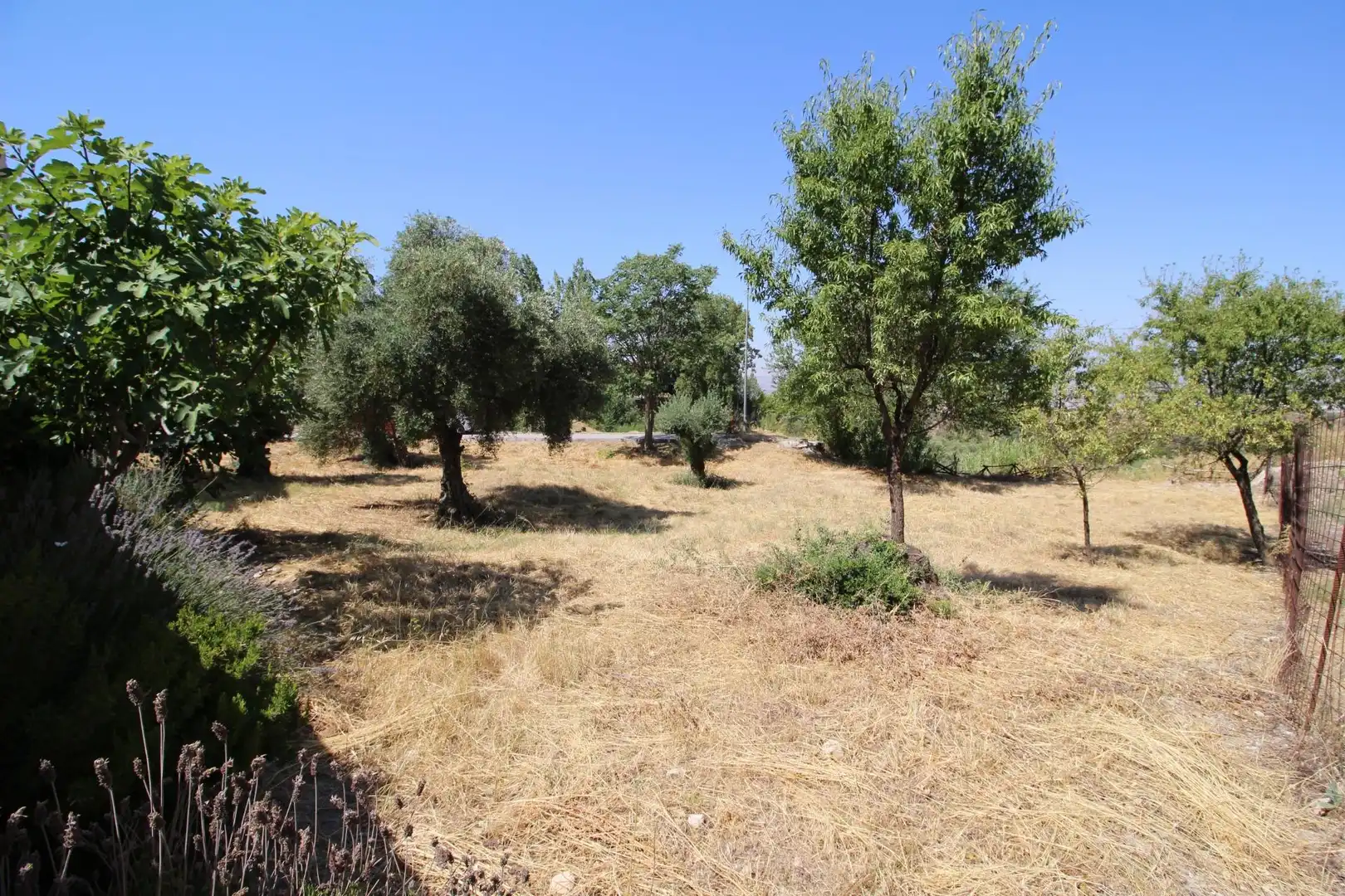 Wohnbaugrundstück zum Verkauf in Albaicín, imagen 5