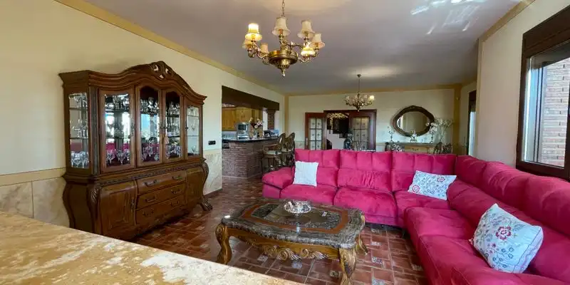 Sala d'estar de Casa o xalet en venda en Loja amb Aire condicionat, Jardí privat i Terrassa