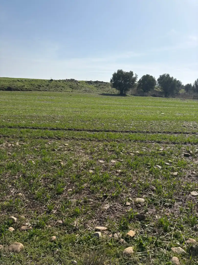 Rustikales Grundstück zum Verkauf in Agoncillo, imagen 4