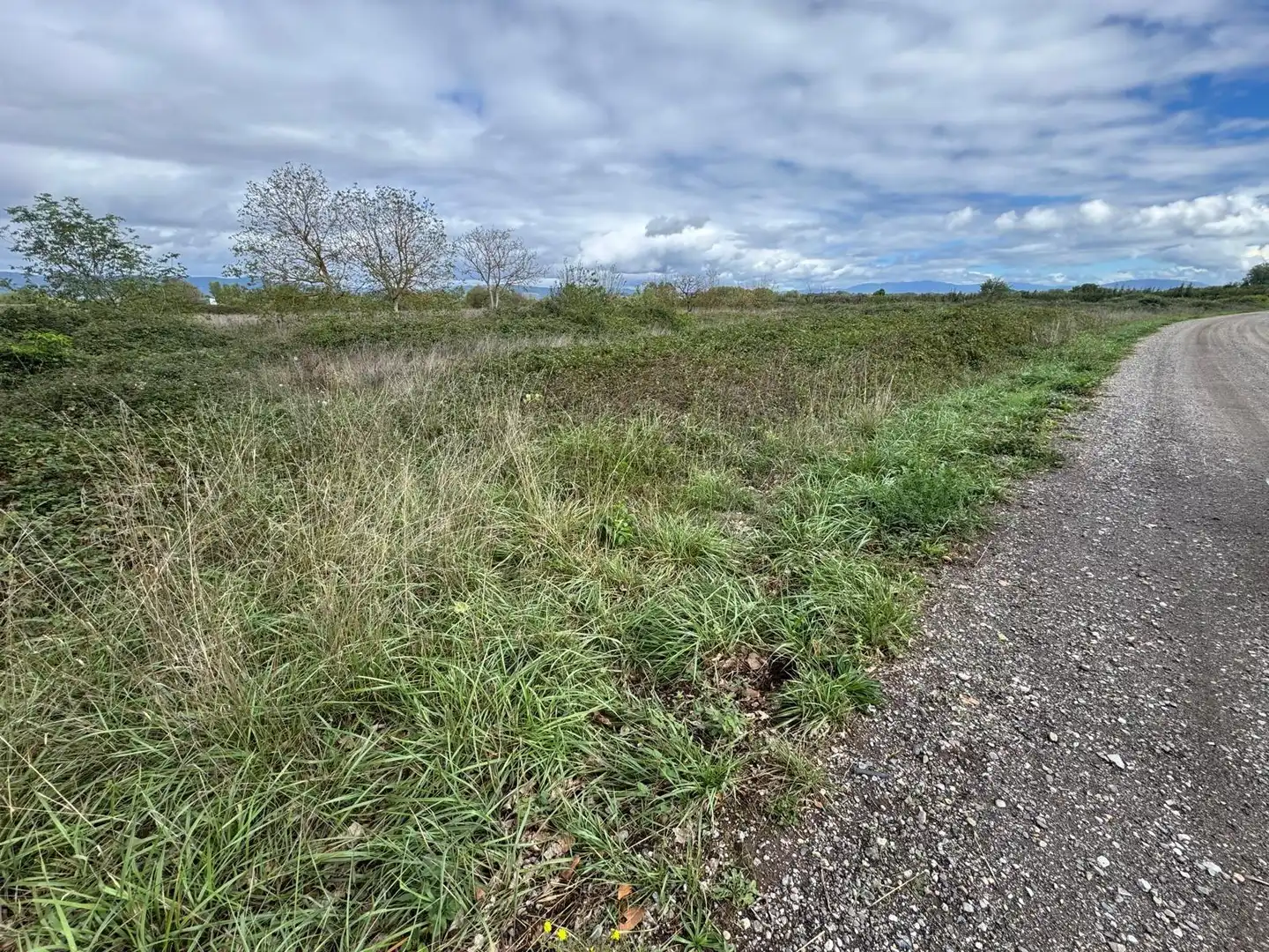 Terreny rústic en venda a Avenida Carracedelo, imagen 2
