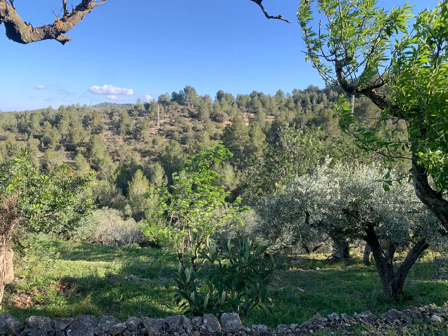 Finca rústica en venda en Tortosa amb Aire condicionat, Calefacció i Jardí privat