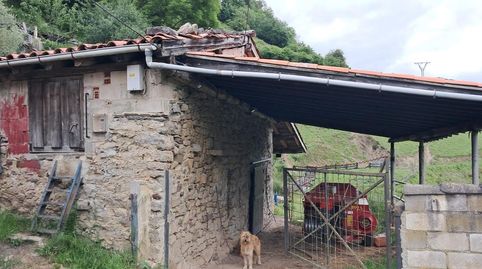 FINCA DE 30.000M2 CON CASA Y CUADRAS, immagine 3