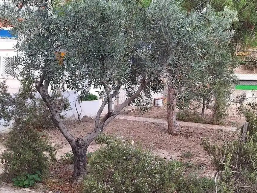 Maison mitoyenne à vendre à Pueblo Acantilado - Lanuza, imagen 34