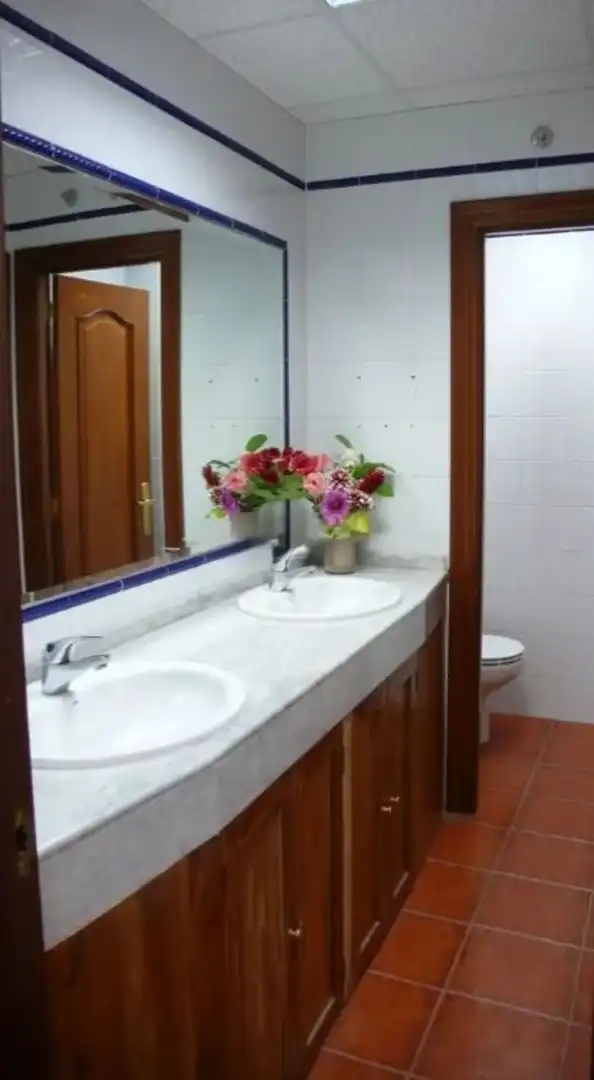 Bany de Local en venda en Covarrubias