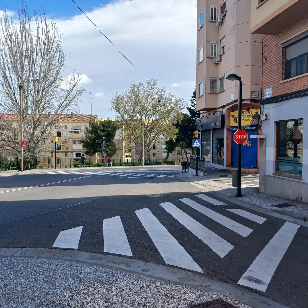 Exterior view of Detached homes for sale in Zaragoza