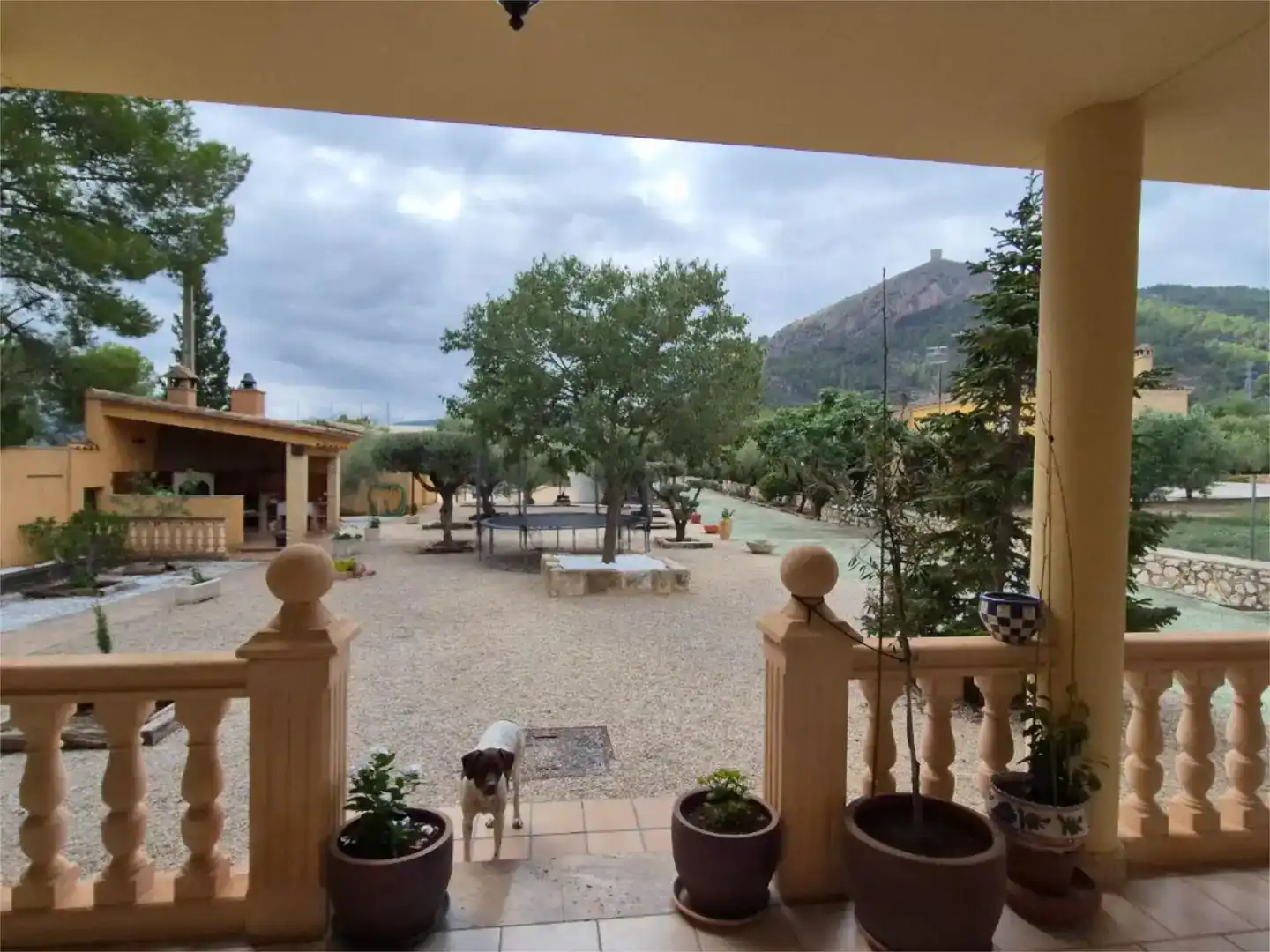 Vista exterior de Casa o xalet en venda en Cocentaina amb Aire condicionat, Jardí privat i Traster