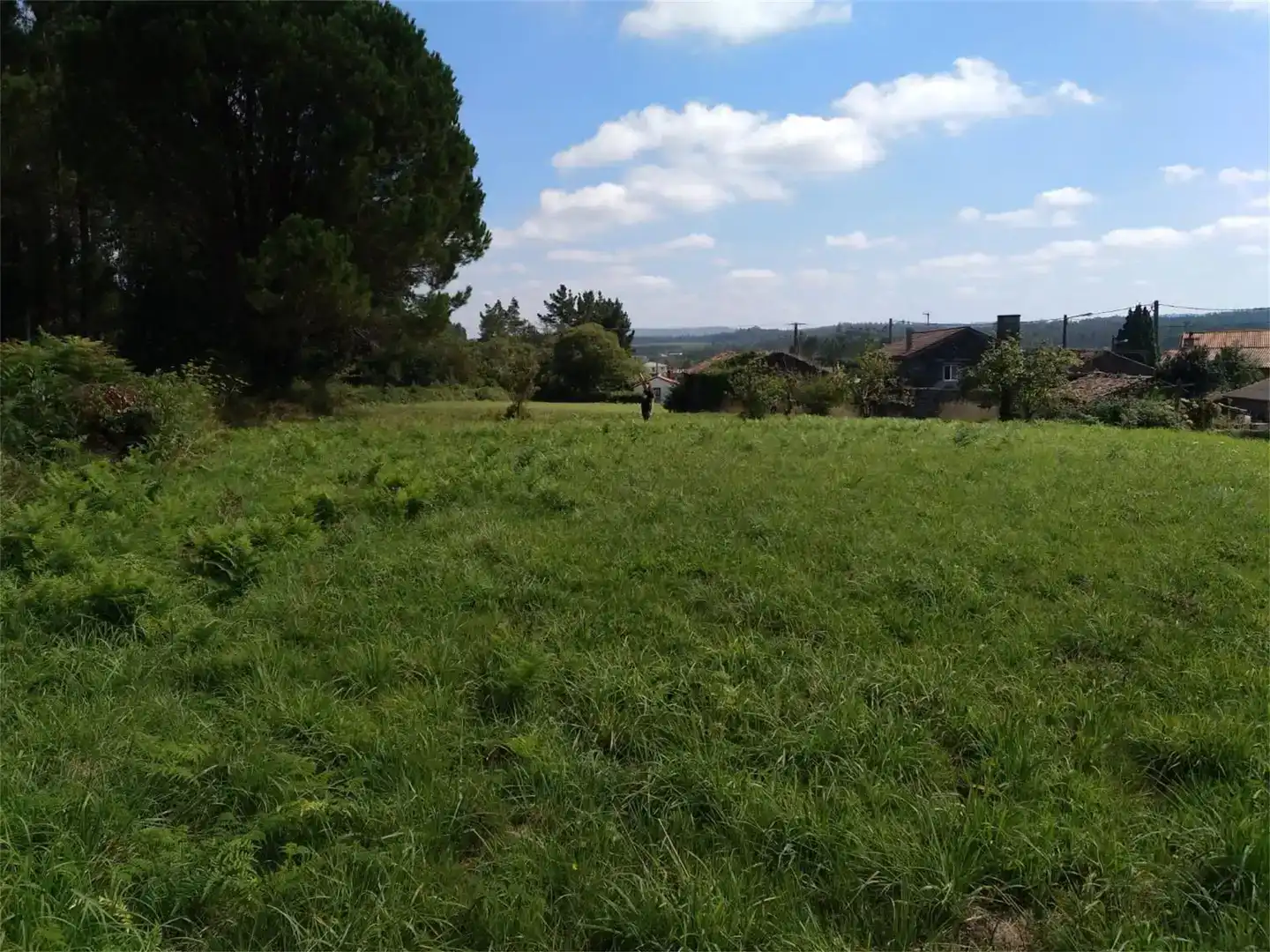 Terreny en venda en Zas