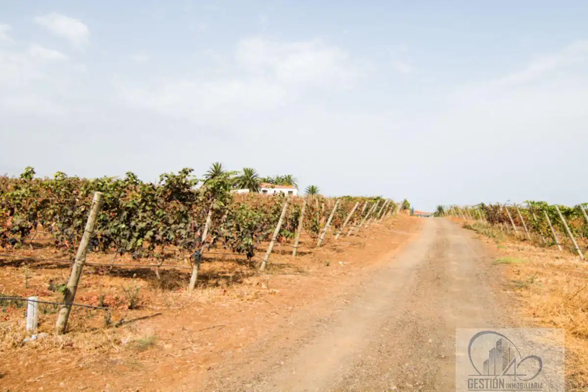 Vista exterior de Finca rústica en venda en Santa Úrsula amb Terrassa i Balcó