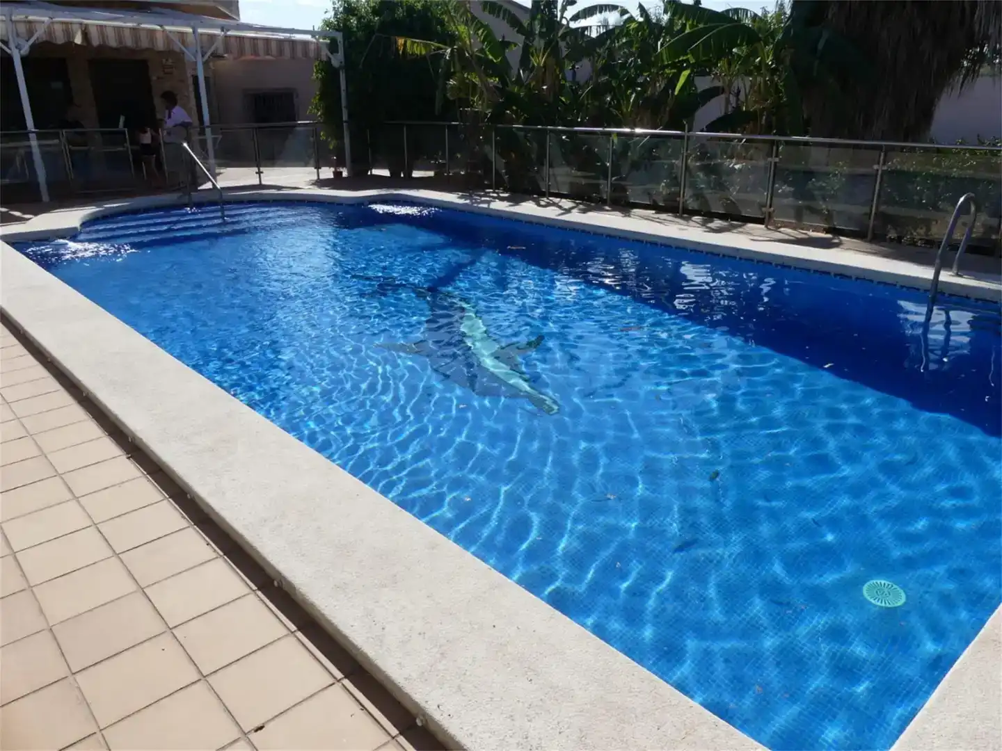 Piscina de Finca rústica en venda en Cartagena amb Aire condicionat, Piscina i Balcó