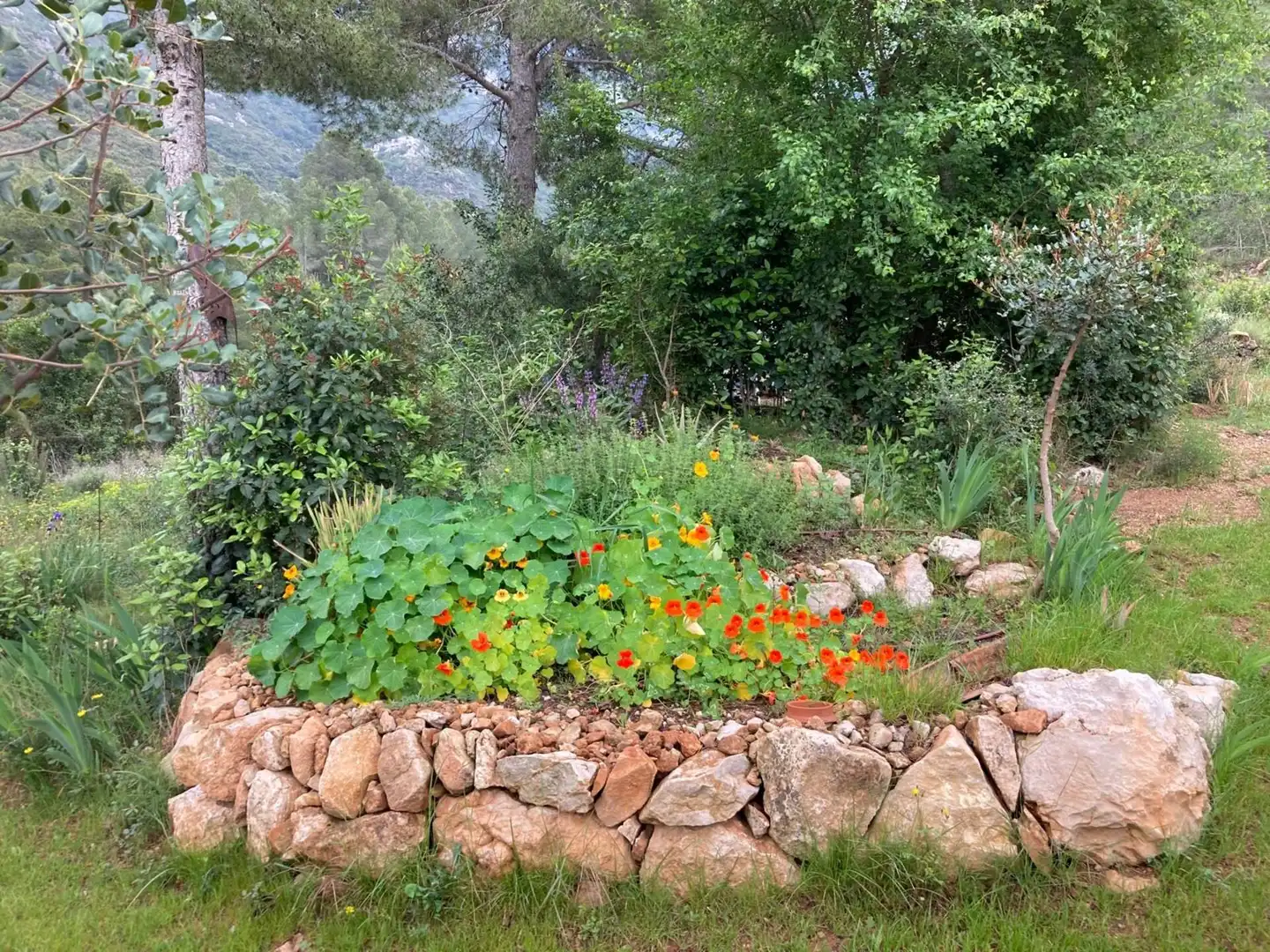 Jardín de Finca rústica en venta en Freginals con Terraza y Trastero