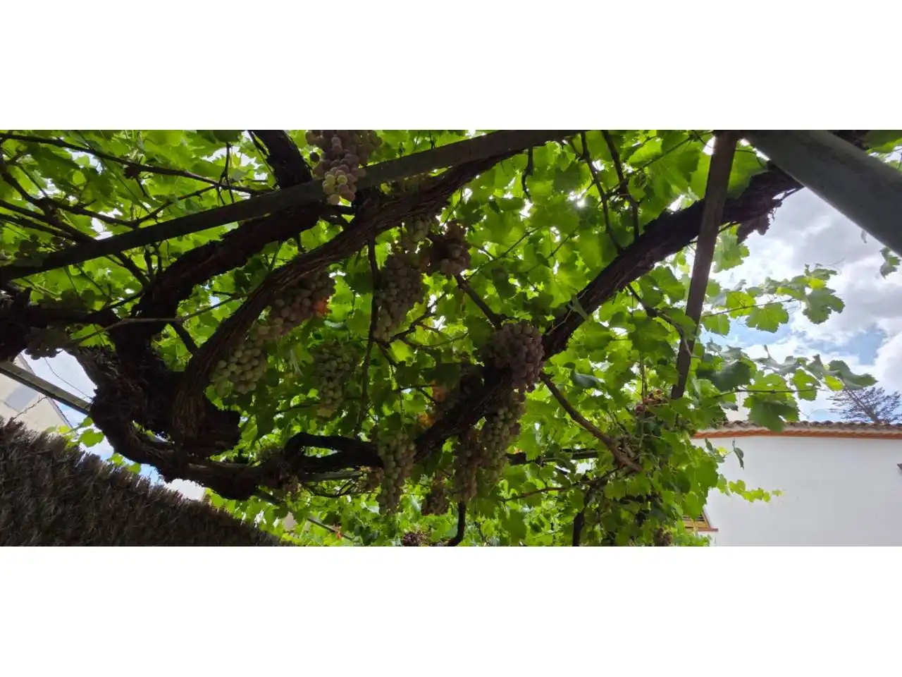 Jardín de Casa o chalet en venta en Les Franqueses del Vallès con Calefacción, Jardín privado y Terraza