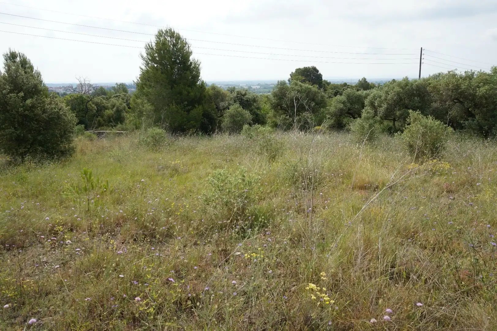 Maison rustique à vendre à Les Borges del Camp, imagen 2