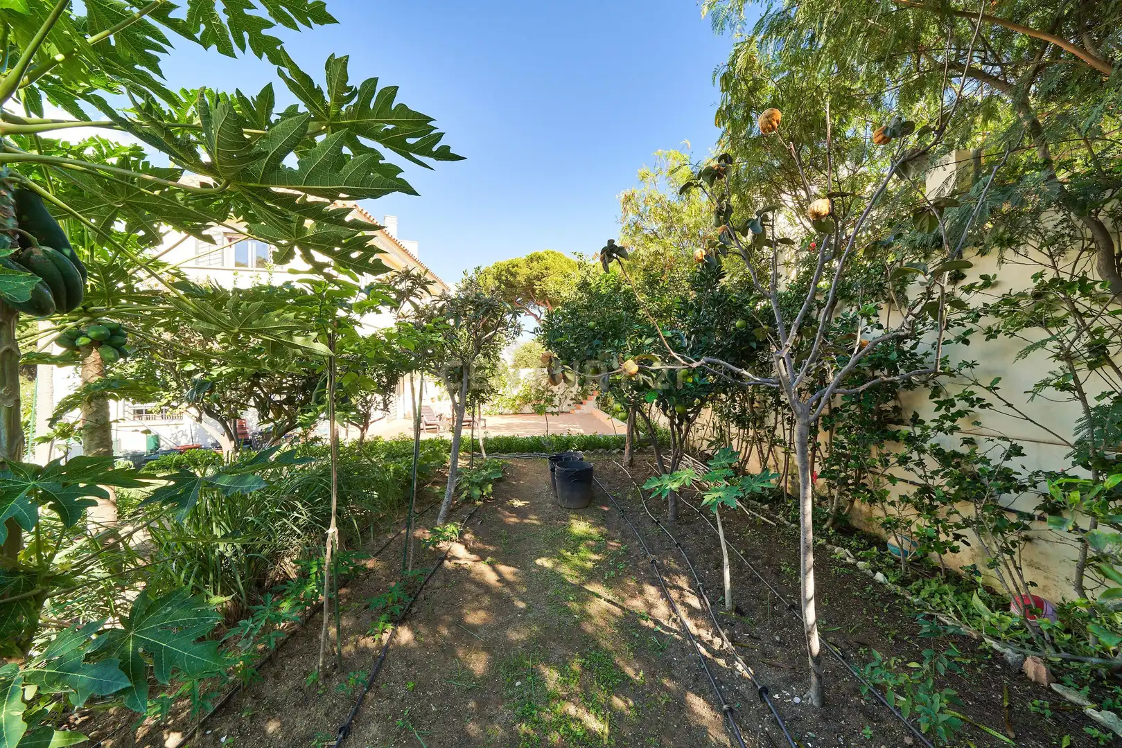 Garden of Houses for sale in Fuengirola  with Private garden, Alarm and Community pool