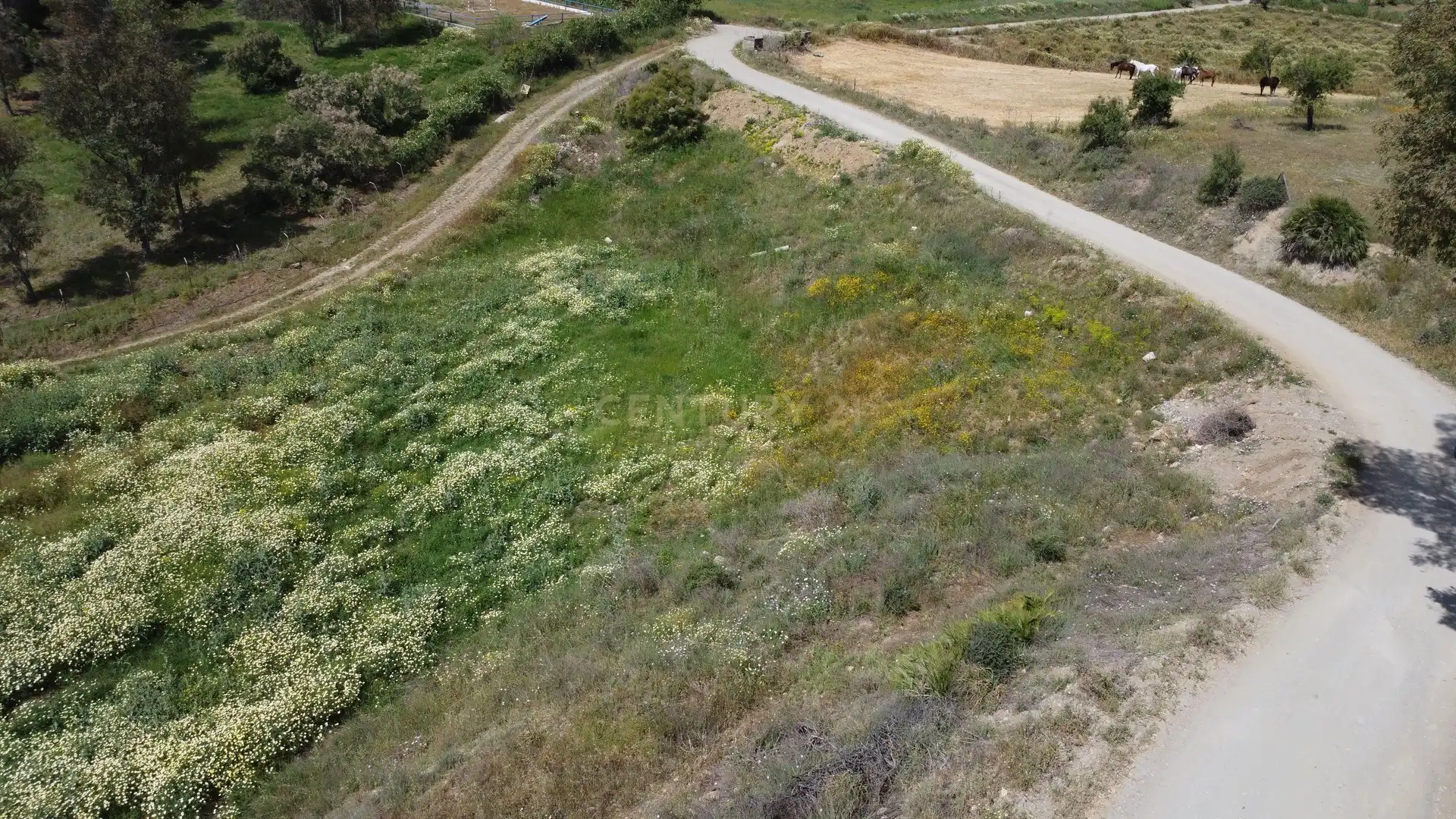 Terreni e lotti in vendita a Carretera Pista Confederación, Pizarra, Spain, imagen 16
