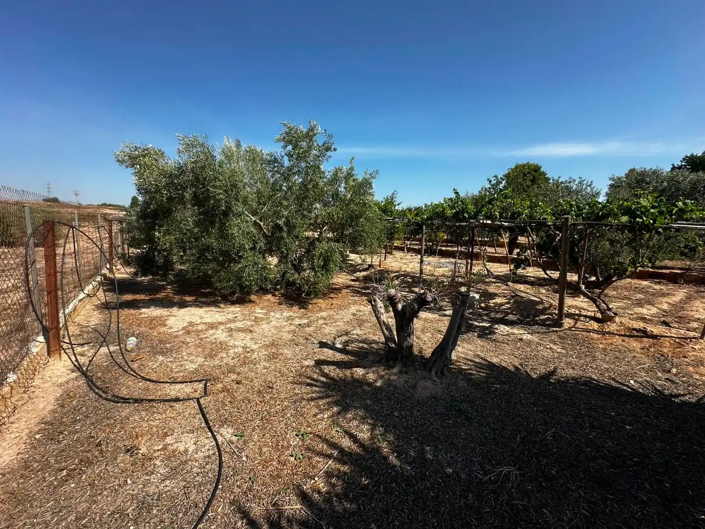 Terreno rústico en venta en Villamontes - Boqueres, imagen 14