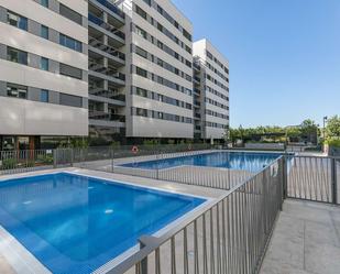 Swimming pool of Apartment to share in  Madrid Capital  with Terrace
