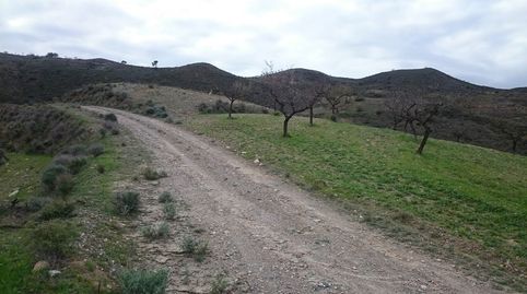 Foto 3 de Residencial en venda a Paraje Arroyo del Aceituno, Cantoria, Almería