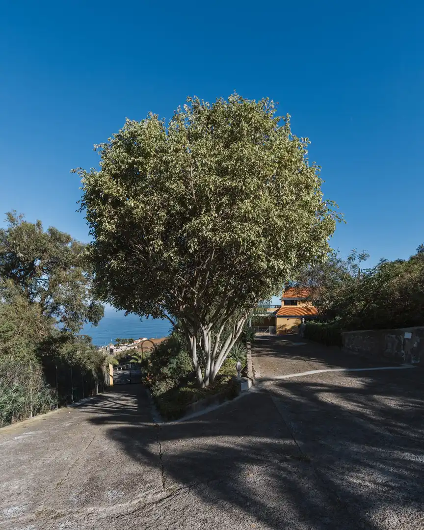 Vista exterior de Casa o xalet en venda en San Juan de la Rambla amb Jardí privat, Parquet i Terrassa