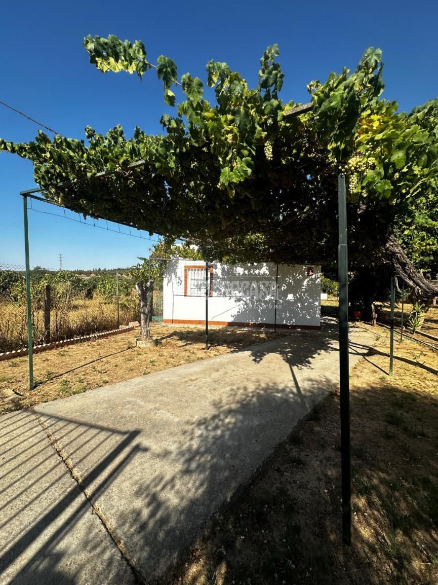 Finca rústica en venda a Espartinas Pueblo