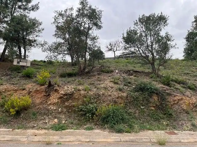 Terrain résidentiel à vendre à Urbanizacion Mas Llunes 1613, imagen 2