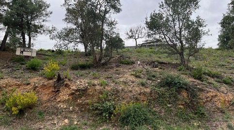 Venta parcela en Urbanización Mas Llunés., immagine 2