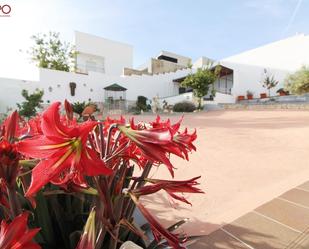 Terrasse von Geschaftsraum zum verkauf in La Bisbal del Penedès mit Terrasse