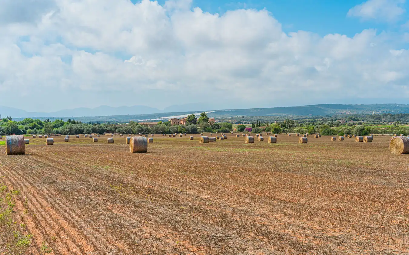 Terrenys i solars en venda a Montuïri, imagen 2
