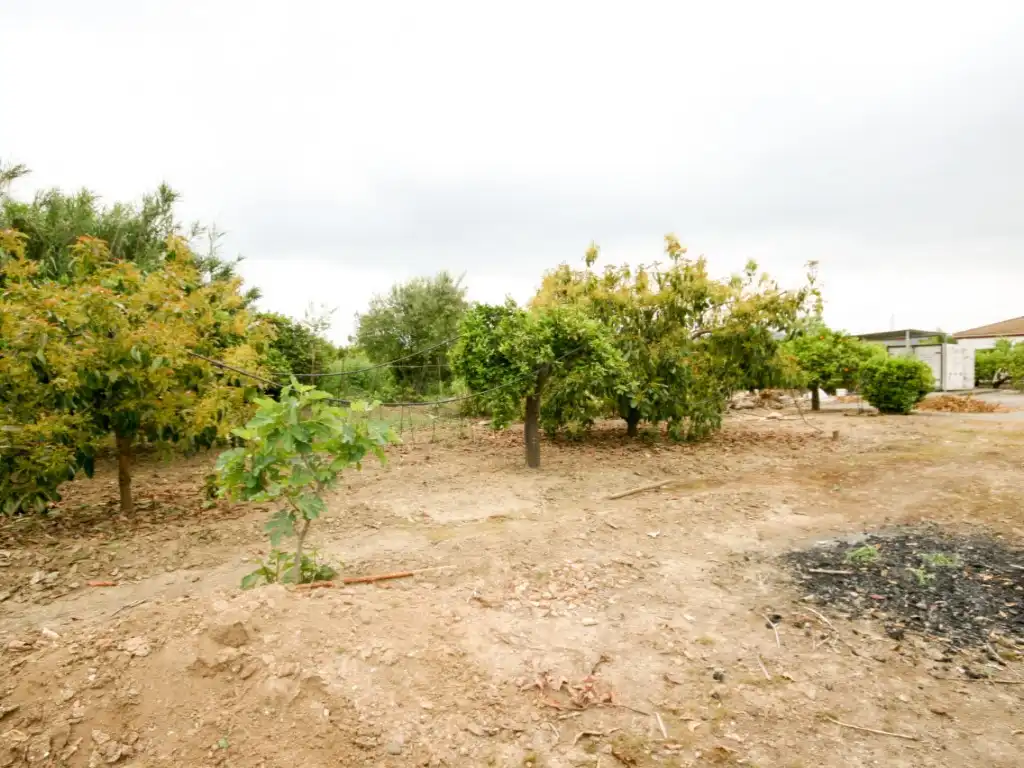 Casa rústica en venda a Partida Dehesa Baja, imagen 8
