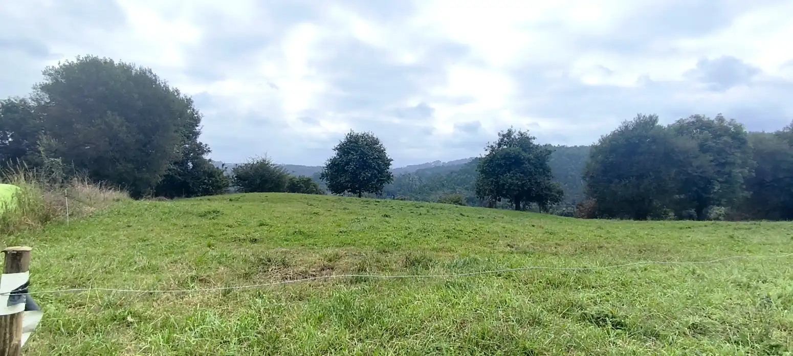 Terreno rústico en venta en Novales - Polígono 20 Parcela 144 EL CASTRO, imagen 6