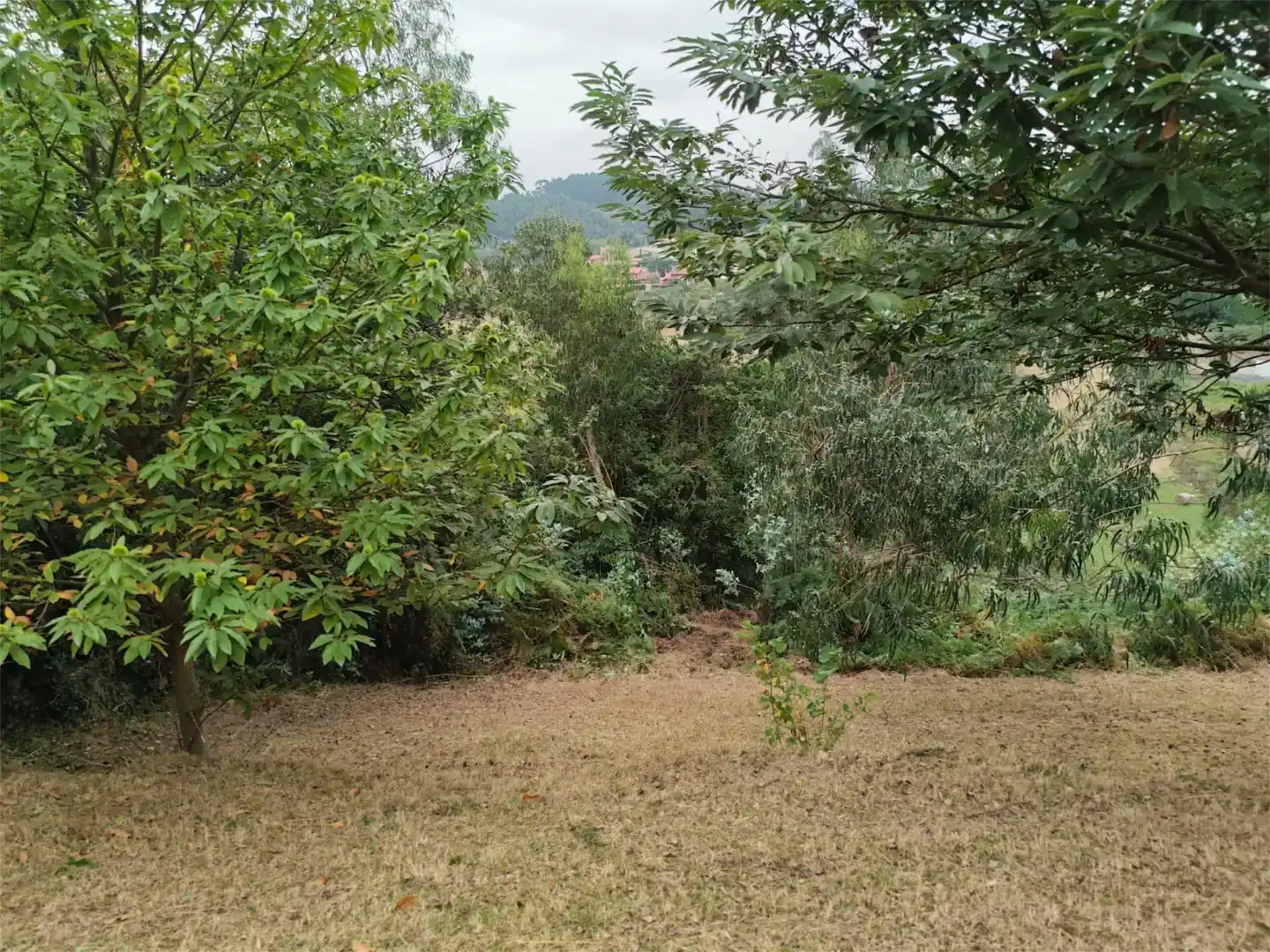 Casa o xalet en venda en Castrillón