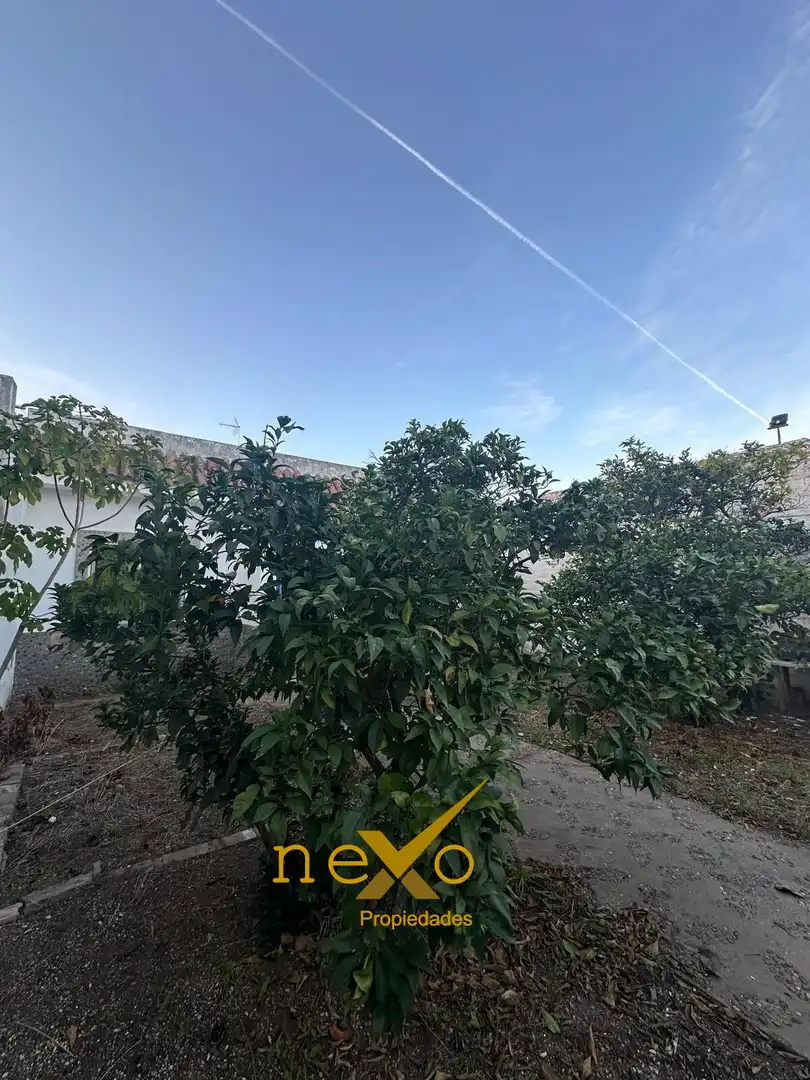Casa con giardino in vendita a Brenes, imagen 19