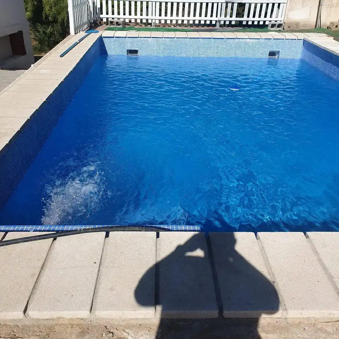 Piscina de Casa o chalet de alquiler en Montroi / Montroy con Jardín privado, Piscina y Amueblado