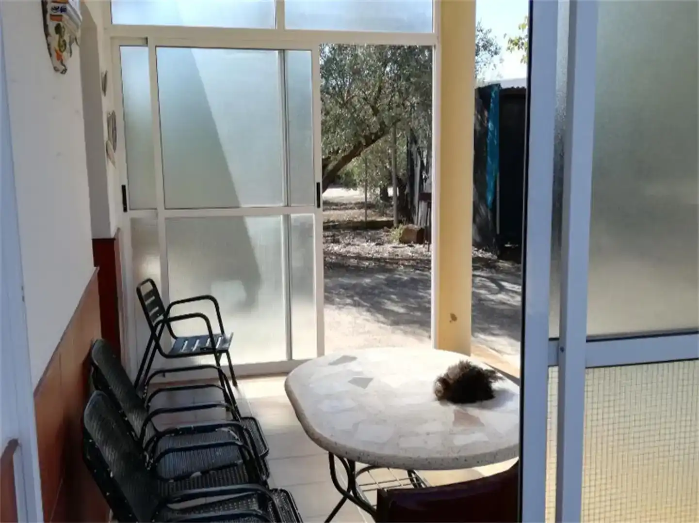 Terraza de Casa o chalet en venta en Montilla con Jardín privado, Trastero y Piscina