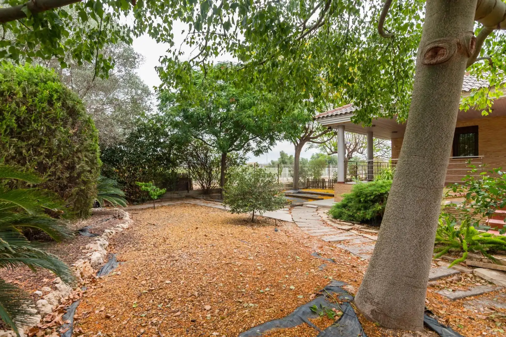 Jardín de Casa o chalet en venta en Murcia con Aire acondicionado, Calefacción y Jardín privado