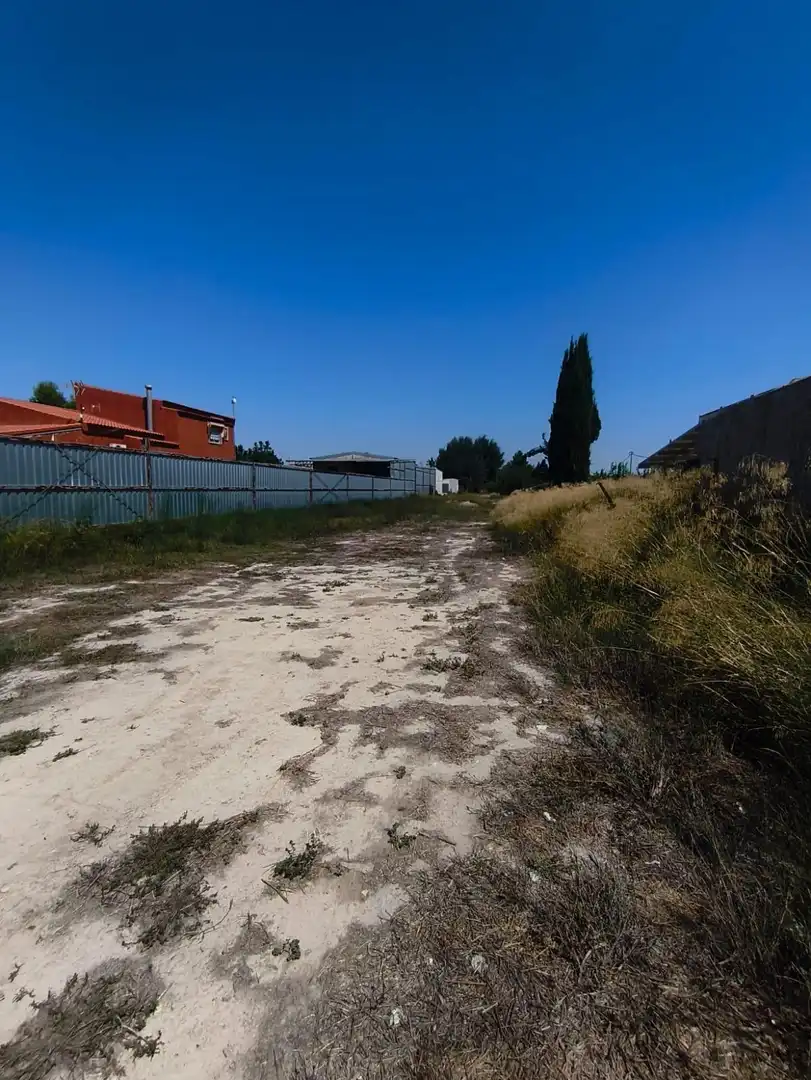 Terreno rustico in vendita a Ribera de Molina - Torrealta, imagen 6