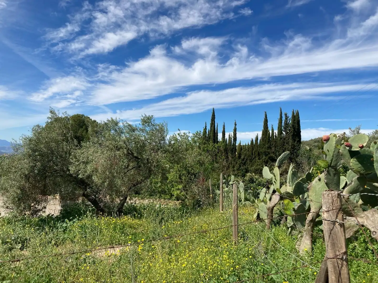 Casa rústica amb jardí en venda a Bobadilla - Bobadilla Estación - La Joya, imagen 4