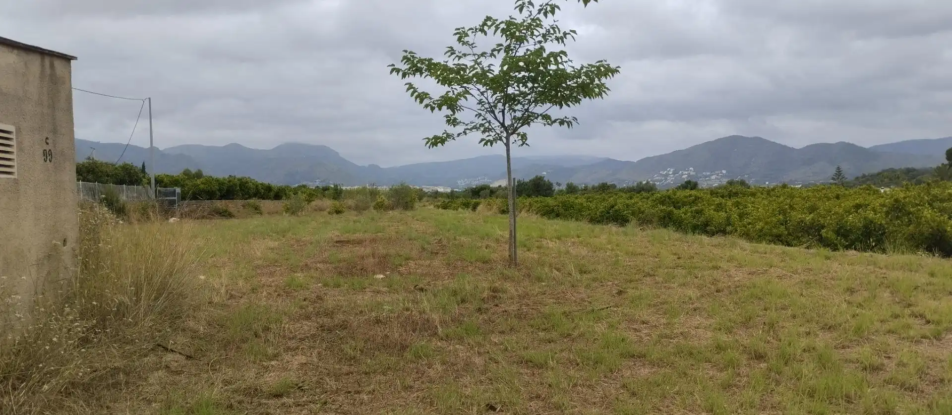 Rural land for sale in Pego, imagen 7