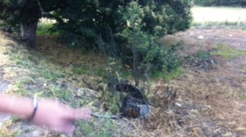 Foto 2 von Residential zum Verkauf in Corullón, León