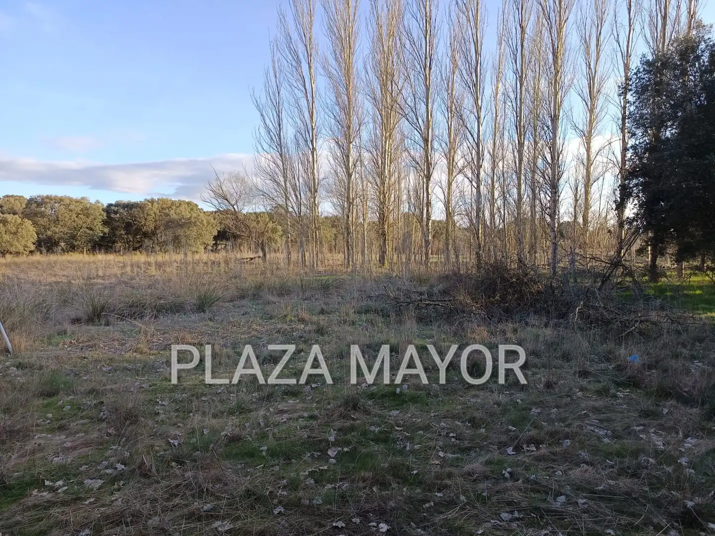 Rural land for sale in Calvarrasa de Arriba, imagen 6