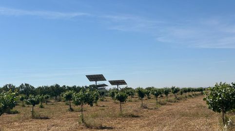 Finca Rúst. en venta en Ciudad Real.