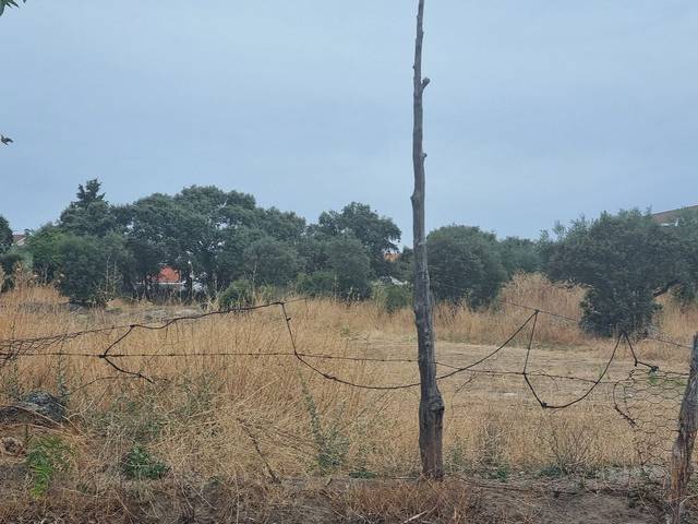 Terreno residencial en Venta en Calle de Madrid, 21 en Chapinería