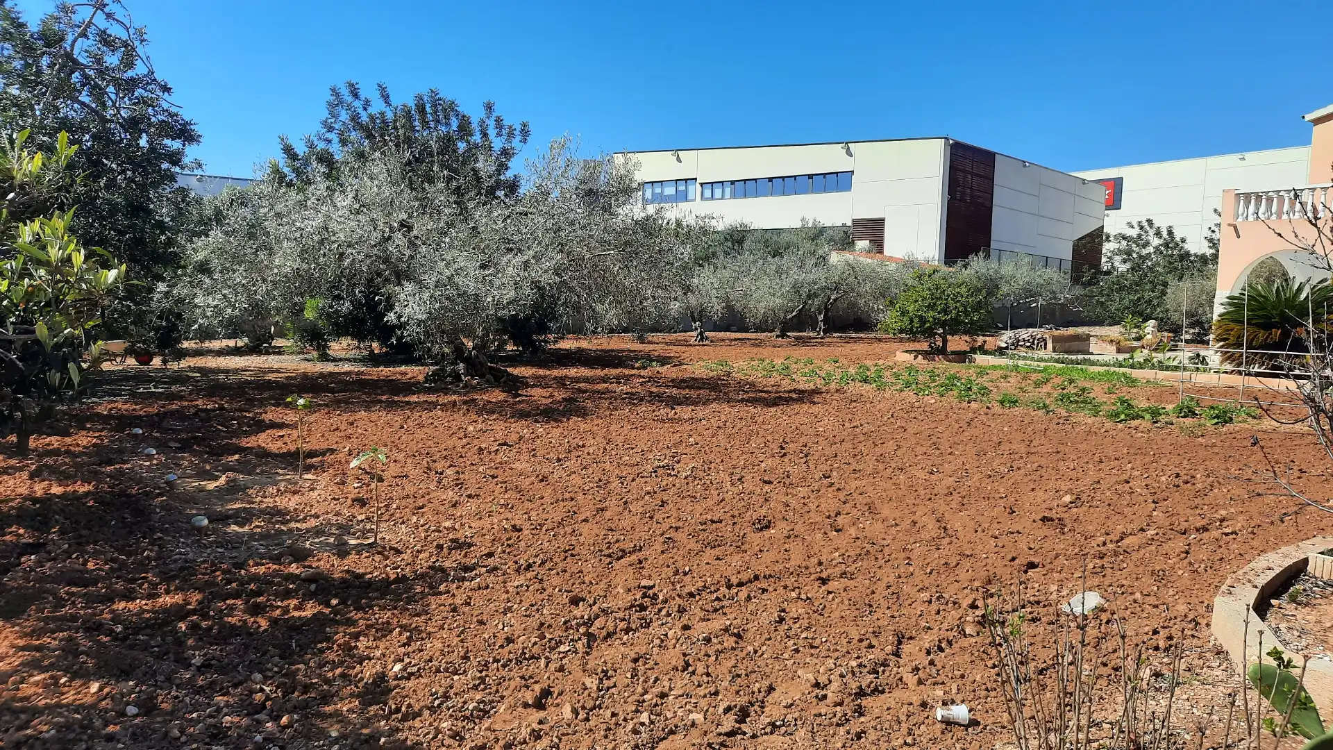 Villa avec terrasse à vendre à Les Salines, imagen 33