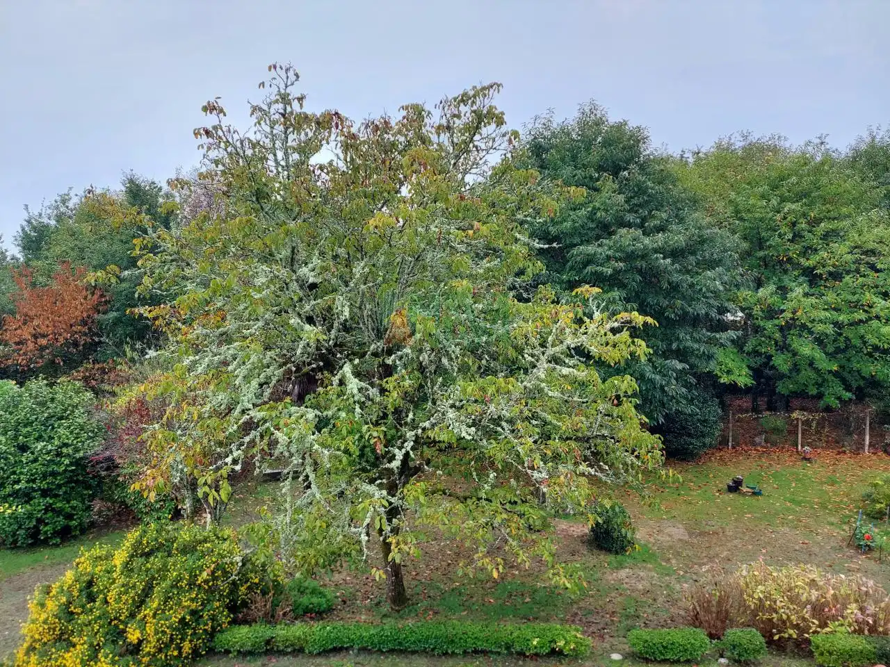 Xalet amb terrassa en venda a Ventiun, imagen 5