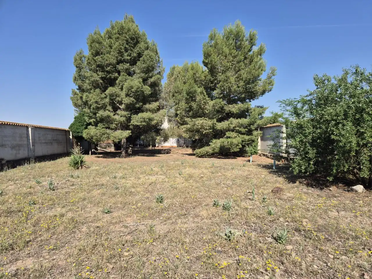 Country homes for sale in Campo de Criptana  with Private garden, Terrace and Swimming Pool