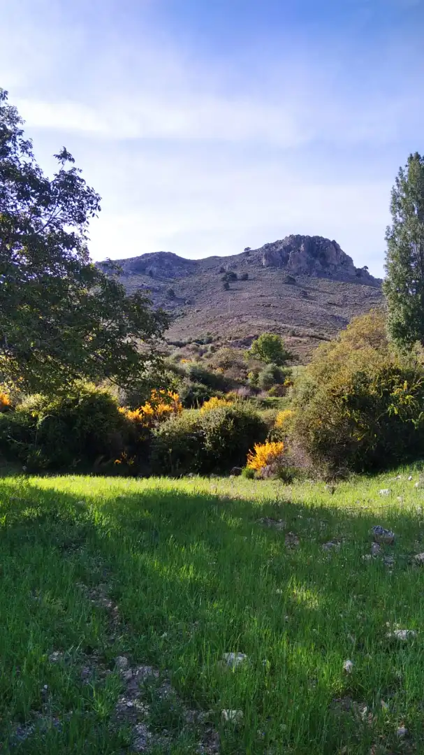 Vista exterior de Terreny en venda en Nerpio