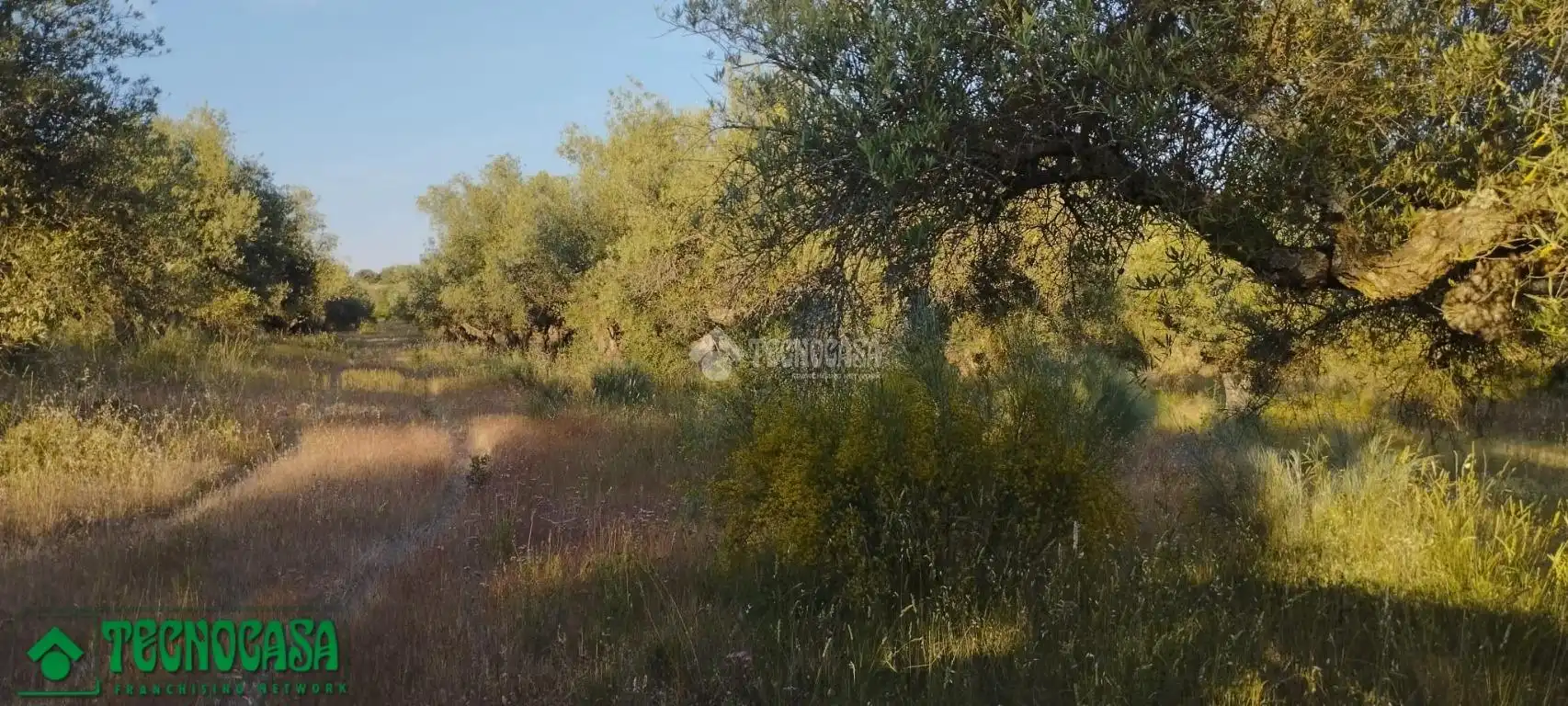 Terreni e lotti in vendita a Méntrida, imagen 26