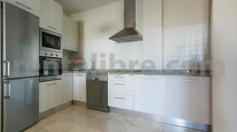 Foto 2 de Àtic de lloguer a Calle C Bodegas 13 Escalera 1 Letra, Centro, Cádiz