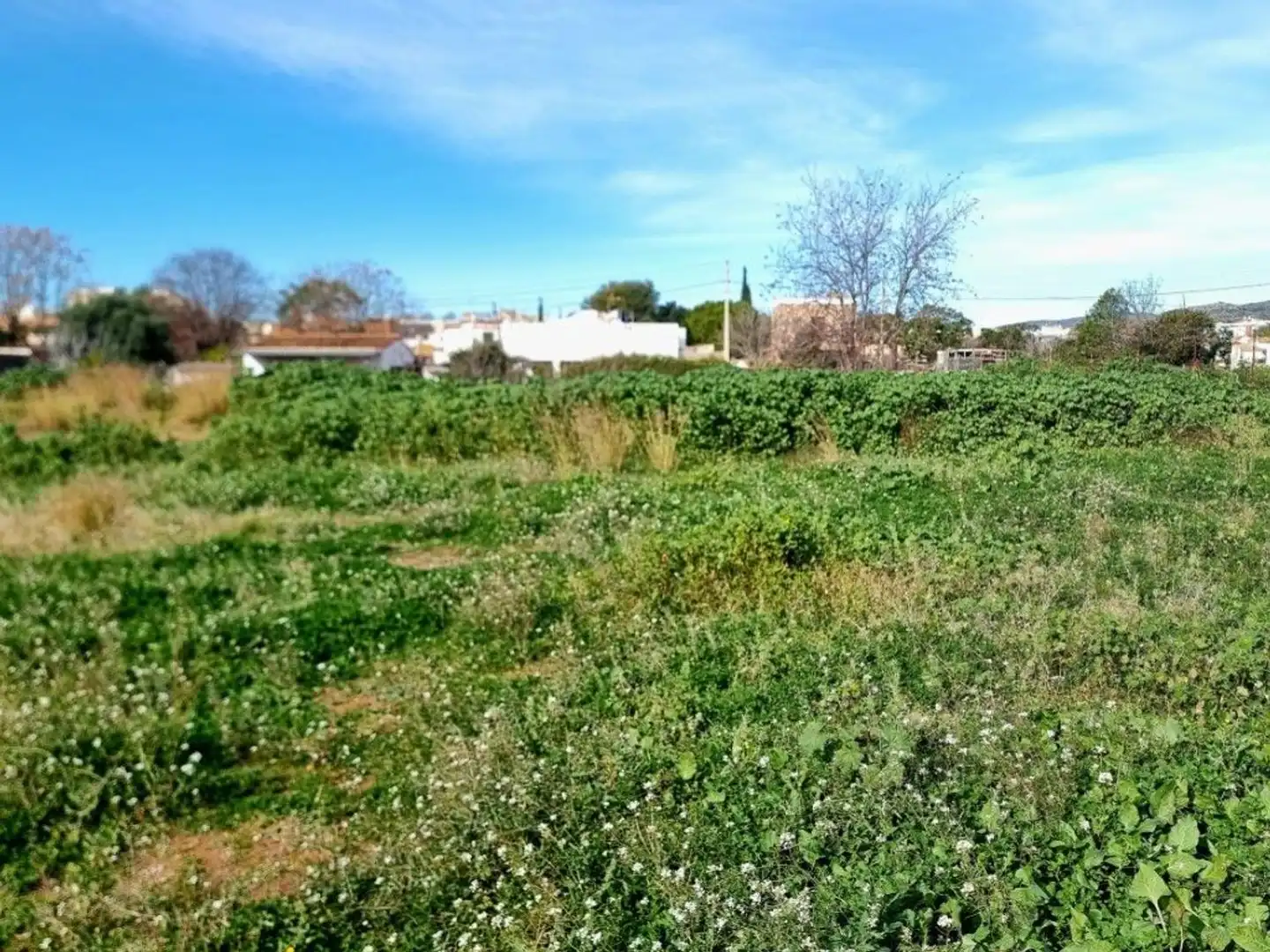 Terreny residencial en venda a Viejo Alcora, imagen 15