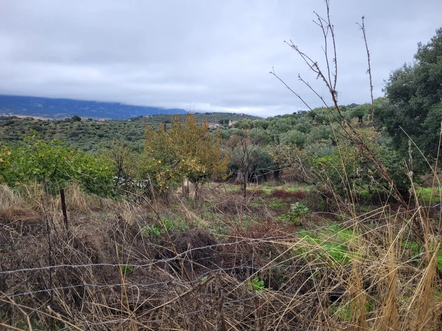 Terreni e lotti in vendita a Carretera Malpartida 5M, imagen 12